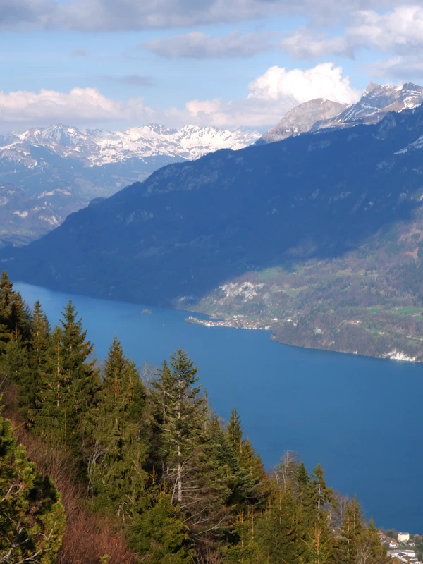 Interlaken mountain destination - Swiss Alps scenic transfer from Zurich with luxury Mercedes chauffeur service